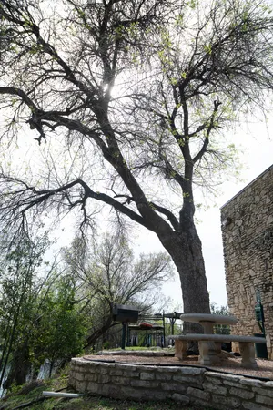 $3,500 | 500 East Riverside Drive, Unit 242, Austin, TX 78704