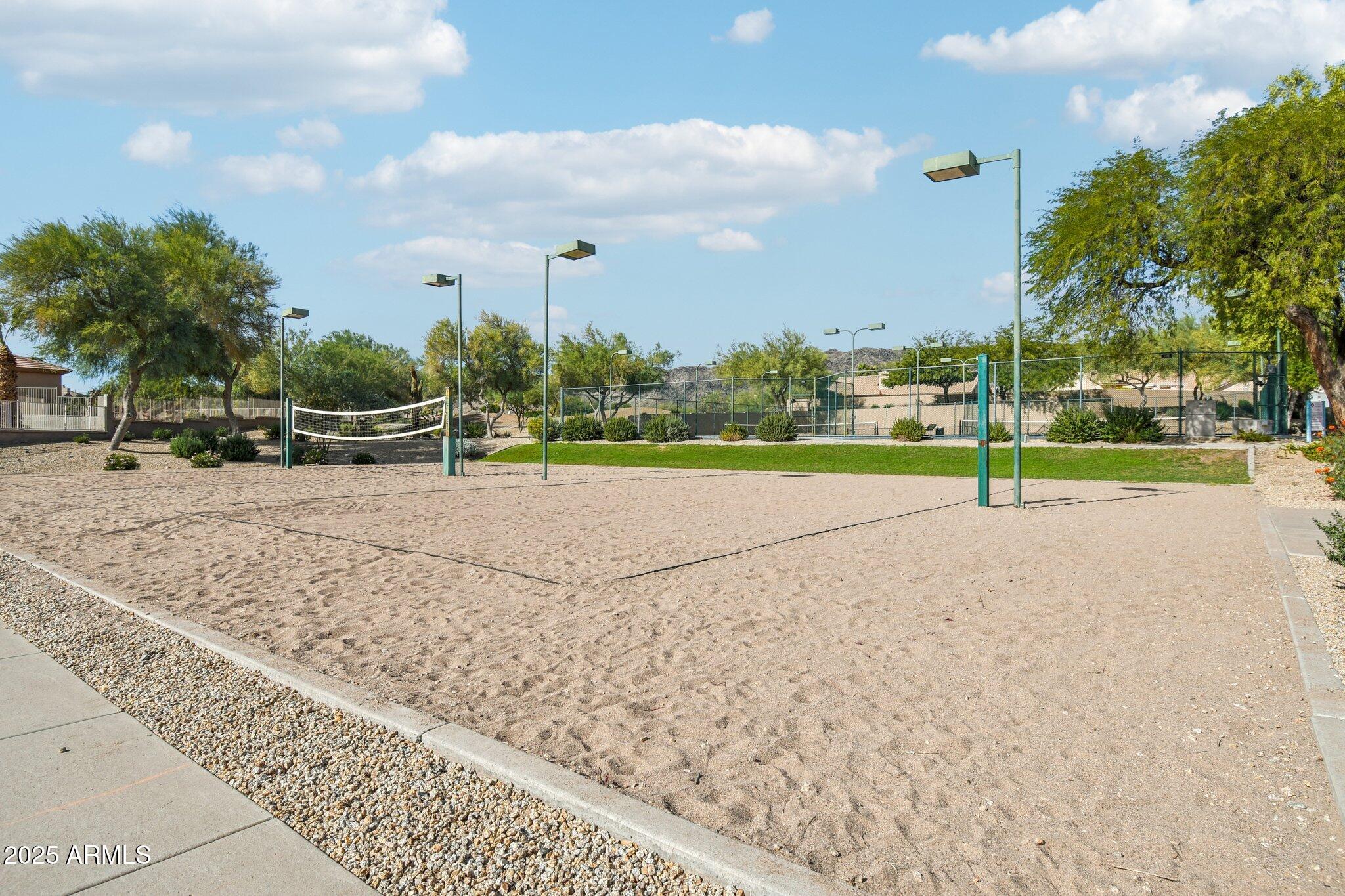 923 West Windsong Drive Phoenix, AZ 85045 - Photo 56 of 68 Community Volleyball court