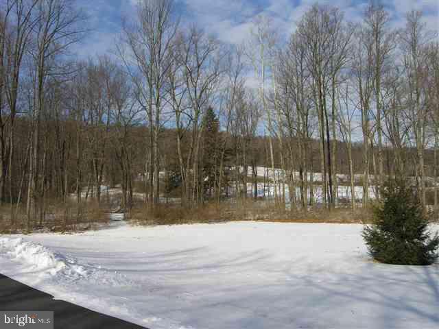 305 Pisgah Road Shermans Dale, PA 17090 - Photo 11 of 14 Gallery Image 11