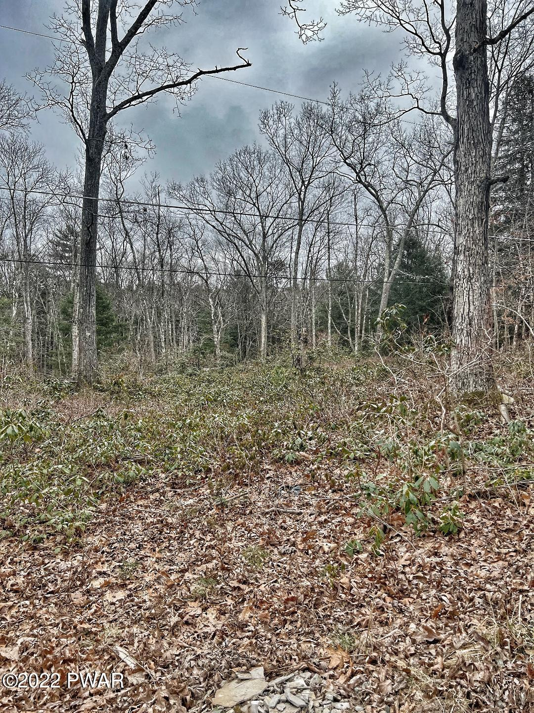 Lot 116 Red Shale Road Hawley, PA 18428 - Photo 1 of 4