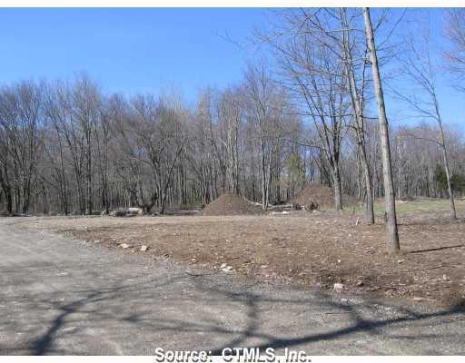 12 Goshen Road Bozrah, CT 06334 - Photo 1 of 1 a view of a yard with trees in the background