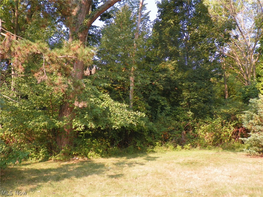 19323 Drake Road Strongsville, OH 44149 - Photo 20 of 25 Gallery Image 20
