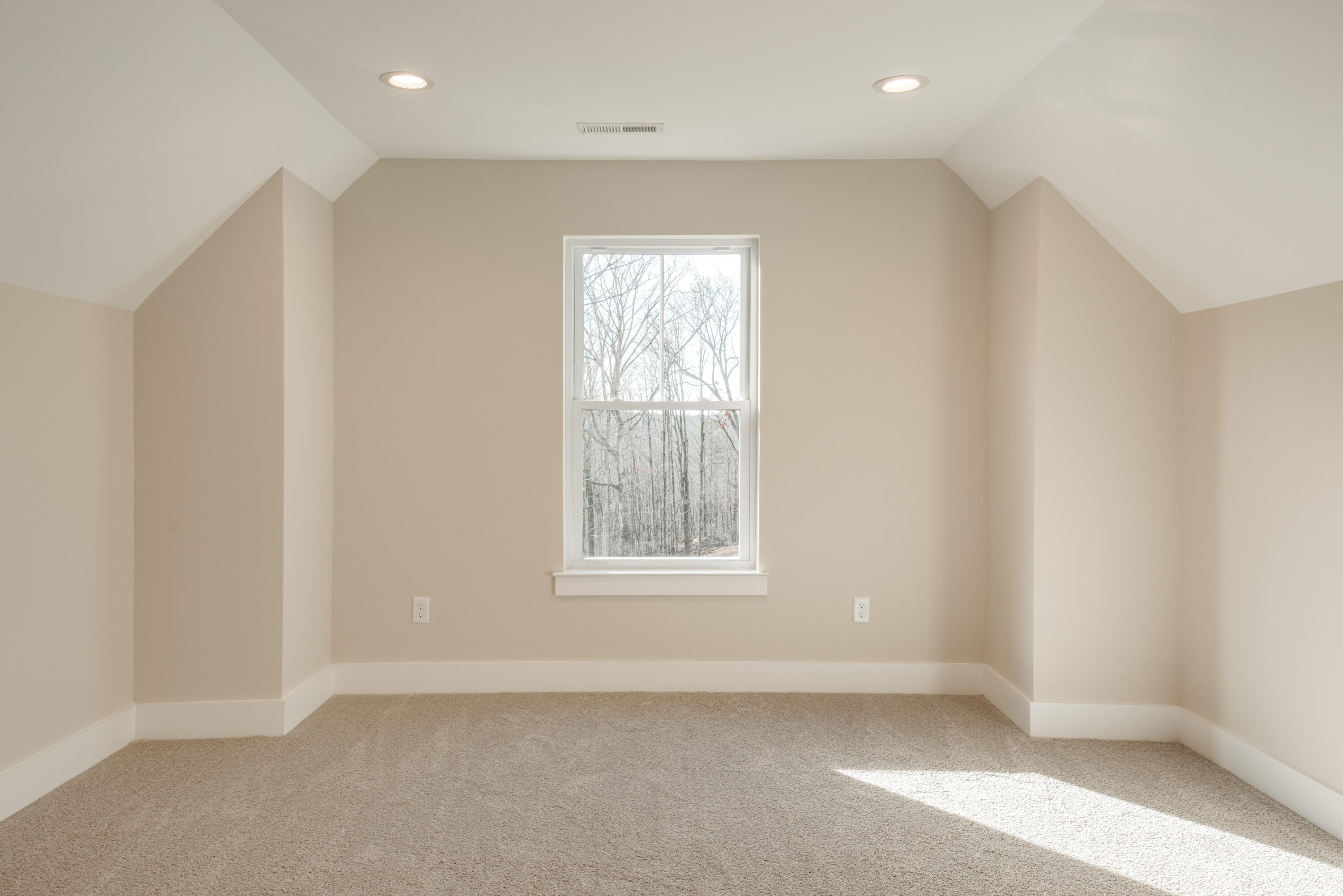 5093 Virginia Pine Road, Unit 91 Signal Mountain, TN 37377 - Photo 11 of 49 DSC_3646