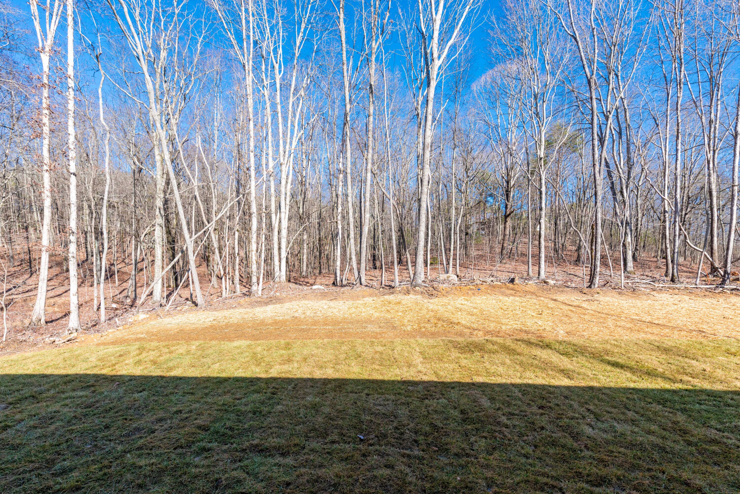 5093 Virginia Pine Road, Unit 91 Signal Mountain, TN 37377 - Photo 45 of 49 DSC_3754