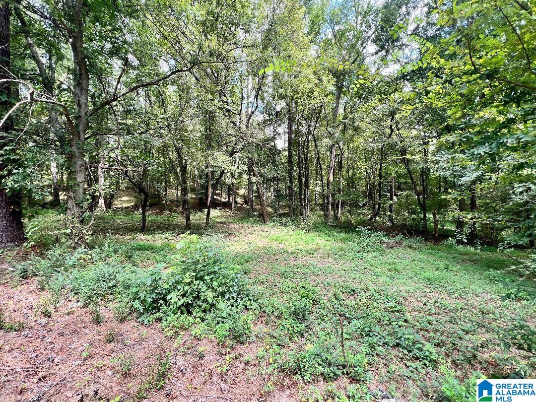 7432 Roper Road, Unit 4 Trussville, AL 35173 - Photo 8 of 19