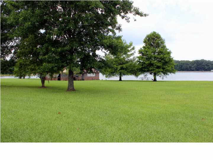 131 Hidden Lake Road Flora, MS 39071 - Photo 33 of 50 Back View