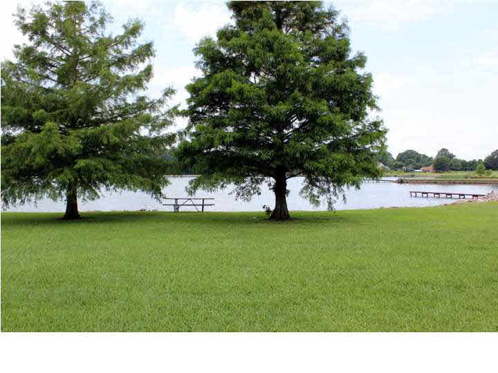 131 Hidden Lake Road Flora, MS 39071 - Photo 35 of 50 Back View