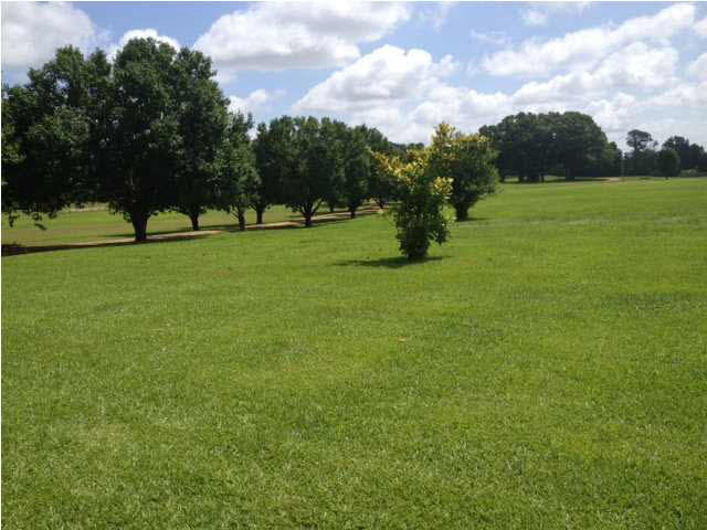 131 Hidden Lake Road Flora, MS 39071 - Photo 44 of 50 Acreage View