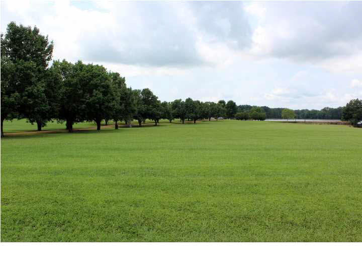 131 Hidden Lake Road Flora, MS 39071 - Photo 45 of 50 Acreage View
