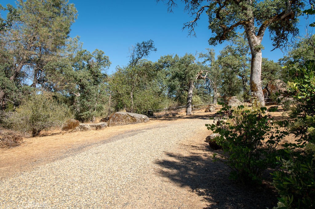 3619 Fig Tree Spring Road Mariposa, CA 95338 - Photo 33 of 38