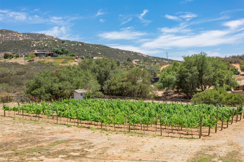 3189 Jamul Highlands Road Jamul, CA 91935 - Photo 22 of 25