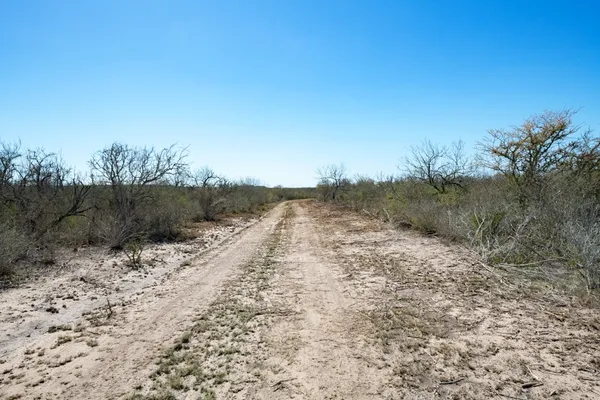 $433,836 | Tbd Cr 325, Freer, TX 78384