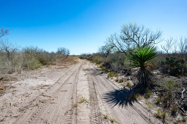 $433,836 | Tbd Cr 325, Freer, TX 78384