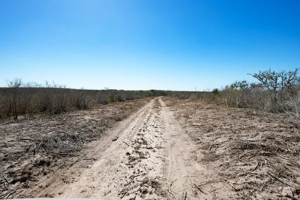 $433,836 | Tbd Cr 325, Freer, TX 78384