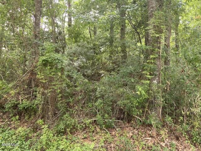 Lot 10 Poco Road Ocean Springs, MS 39564 - Photo 1 of 5 IMG_1587