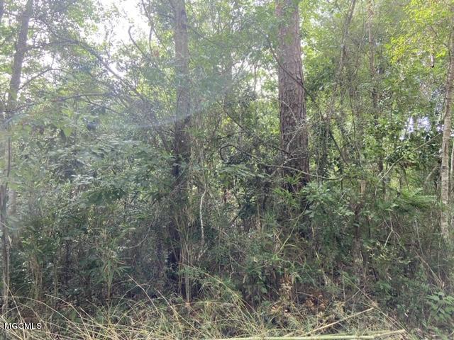 Lot 10 Poco Road Ocean Springs, MS 39564 - Photo 2 of 5 IMG_1585