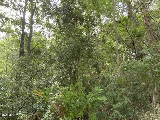 Lot 10 Poco Road Ocean Springs, MS 39564 - Photo 5 of 5 IMG_1589