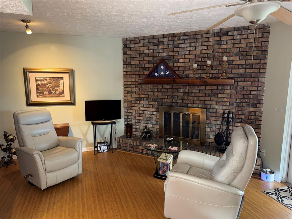 4007 Truman Drive Seffner, FL 33584 - Photo 2 of 17 a living room with furniture and a fireplace