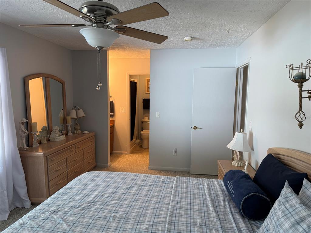 4007 Truman Drive Seffner, FL 33584 - Photo 9 of 17 a room with a bed and a chandelier