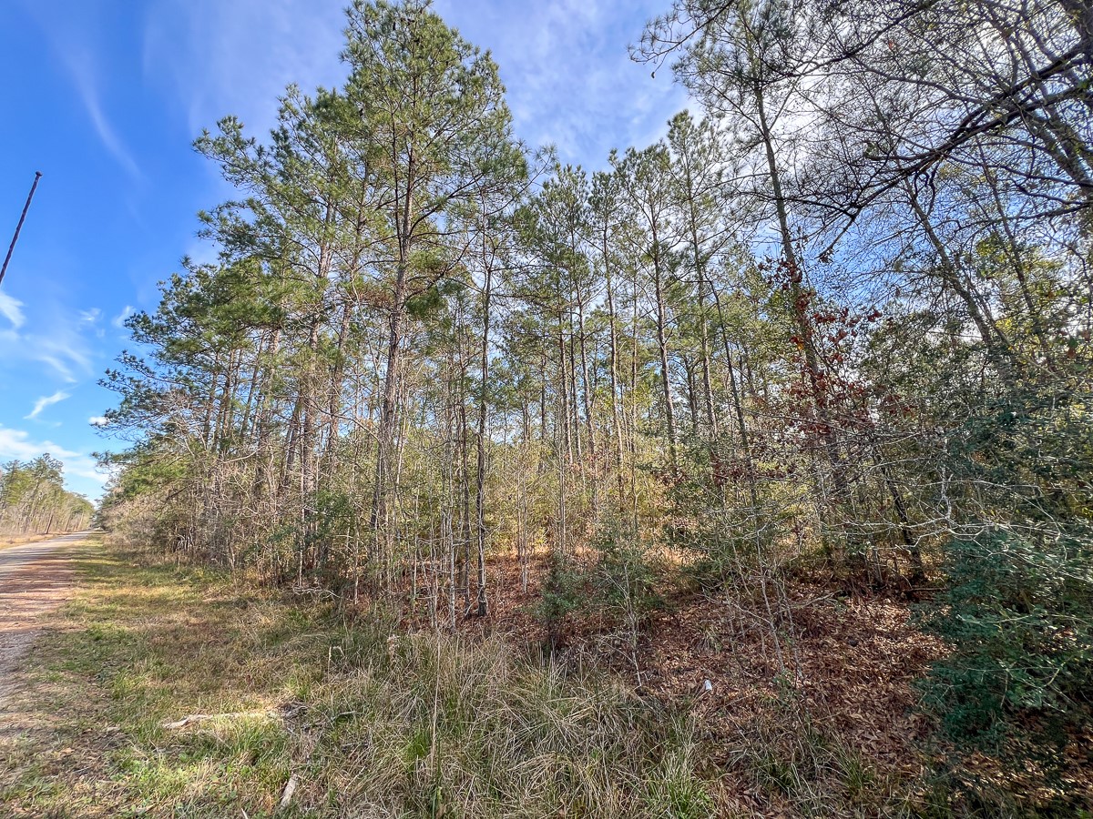 T2 Zavalla Road Orange, TX 77632 - Photo 3 of 8