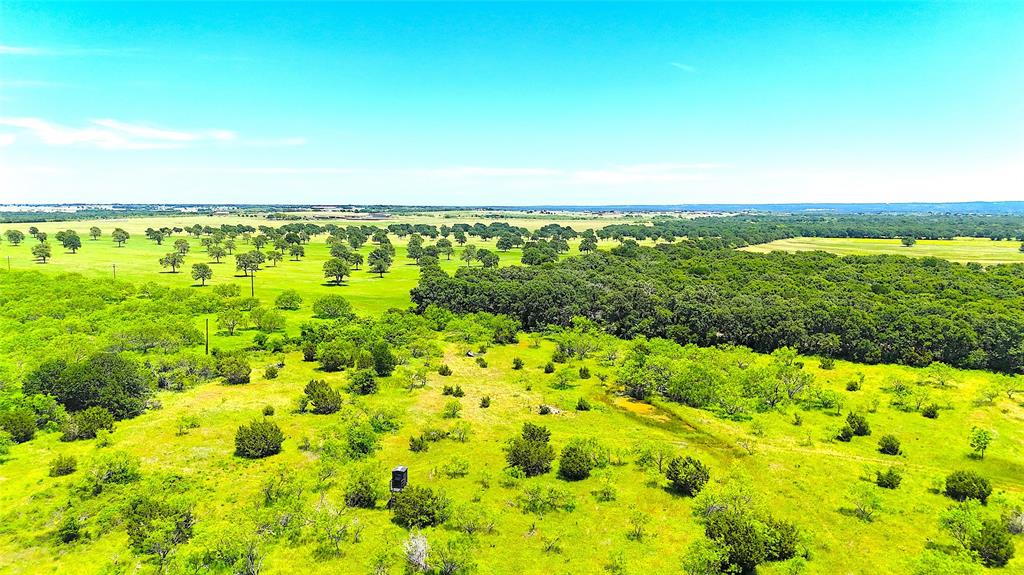 11020 Highway 281 Perrin, TX 76486 - Photo 2 of 22