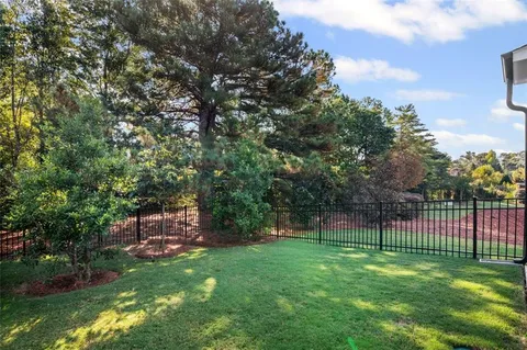 a view of a park with a large tree