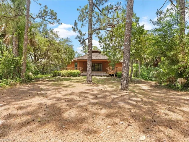 a view of a backyard with a garden and plants