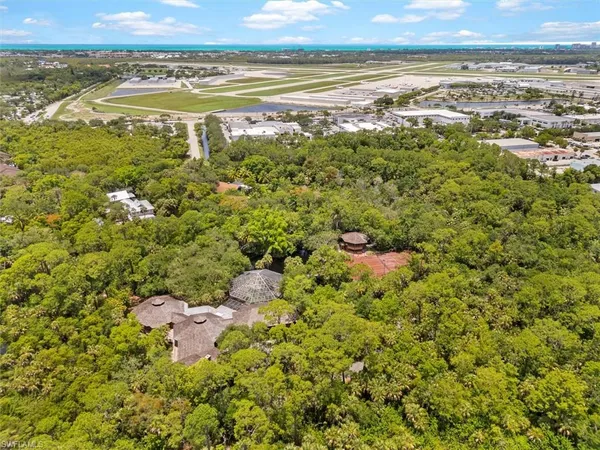 a view of a bunch of trees and bushes