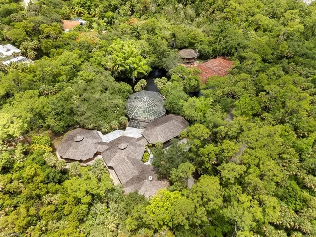 a view of a lake with a large trees