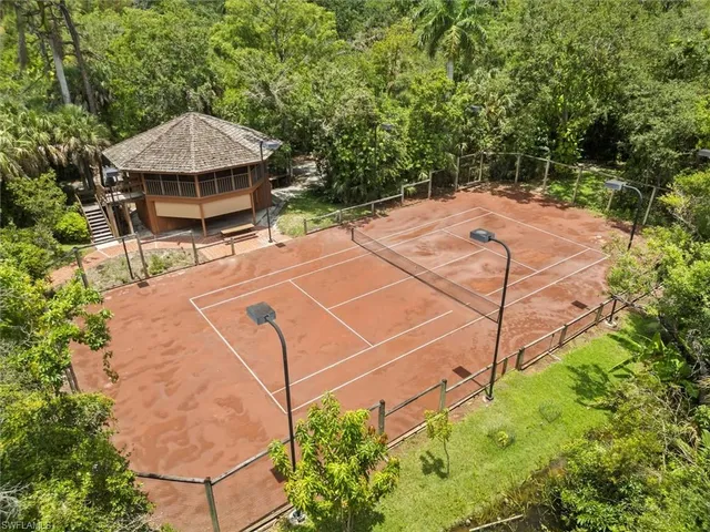 a backyard of a house with plants and large tree