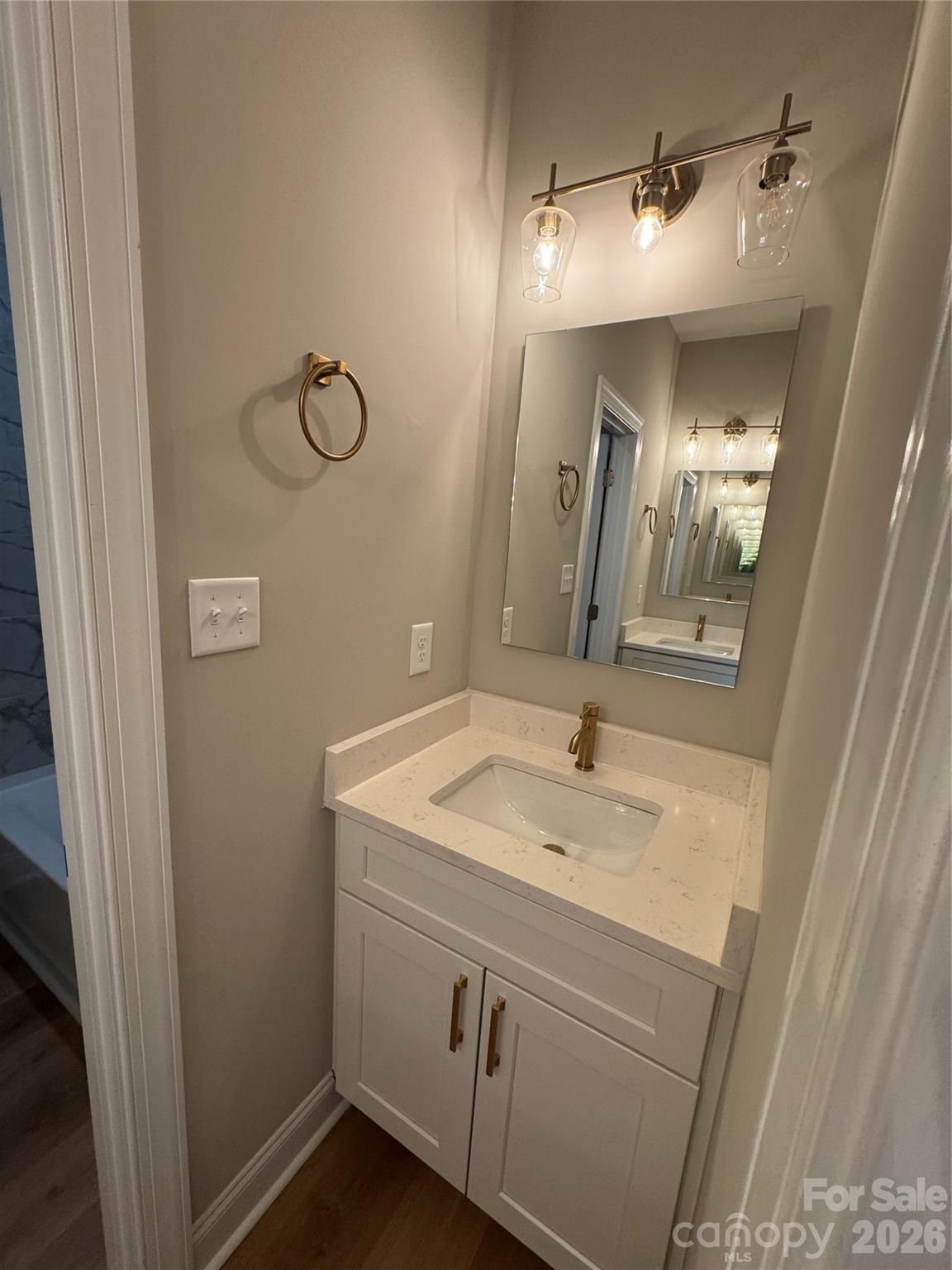 203 Lee Street Fort Mill, SC 29715 - Photo 16 of 19 a bathroom with a sink and a mirror