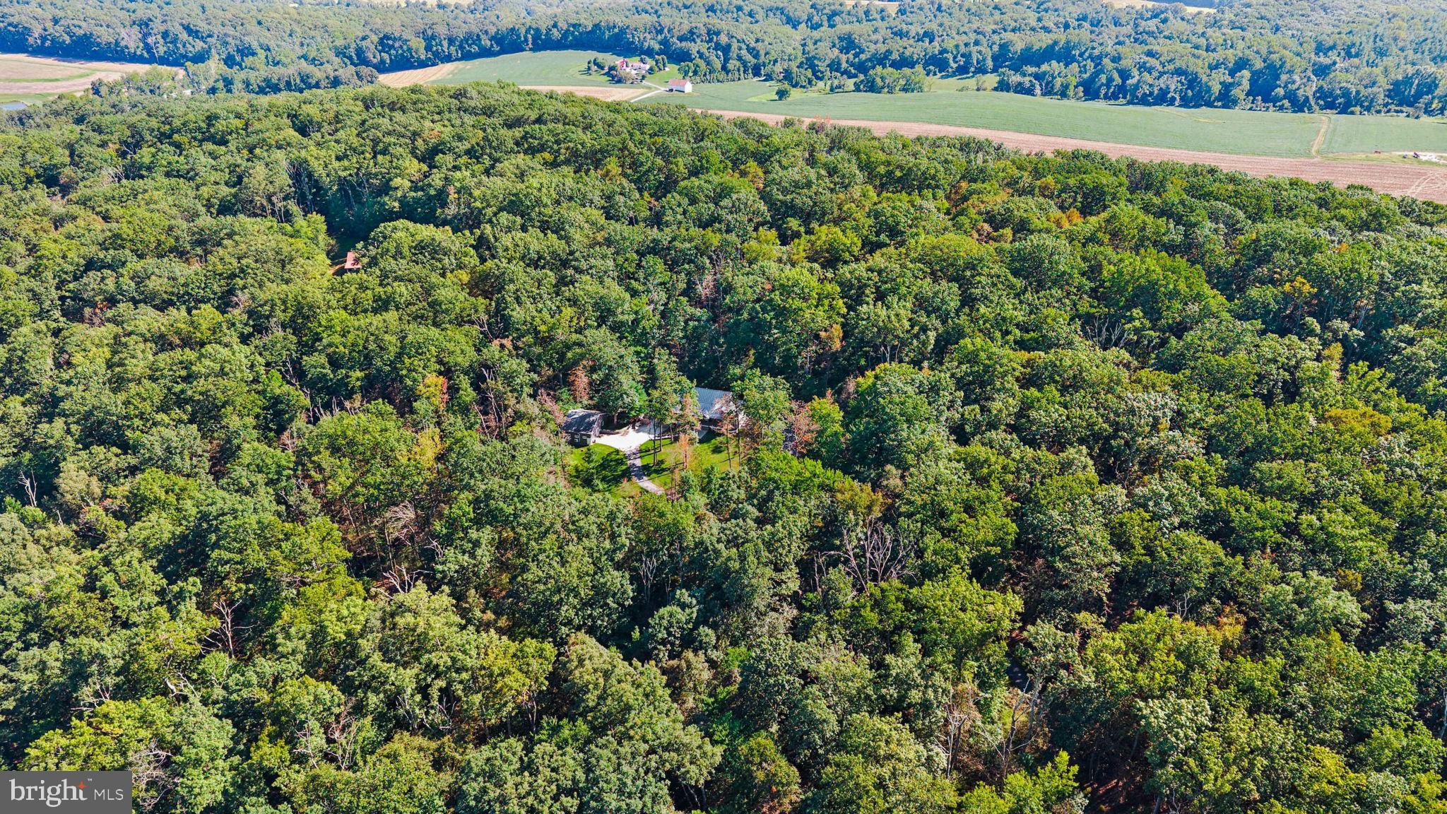 851 Bacon Hall Road Sparks, MD 21152 - Photo 61 of 65 Gallery Image 61