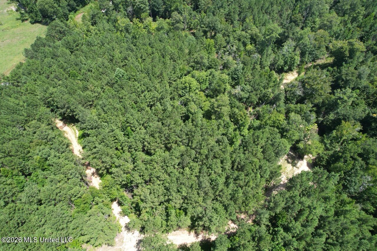 399 Northeast Dummyline Road Brookhaven, MS 39601 - Photo 3 of 33 DJI_0669 Large