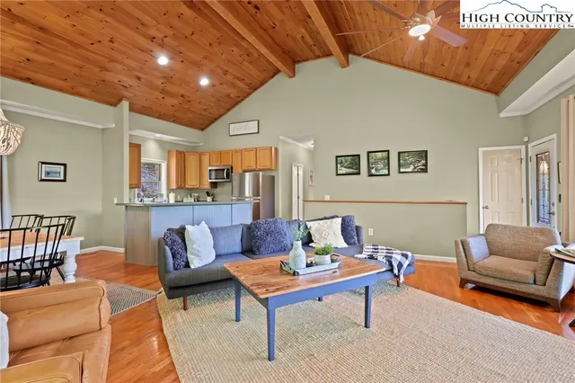 a living room with furniture a rug and a potted plant