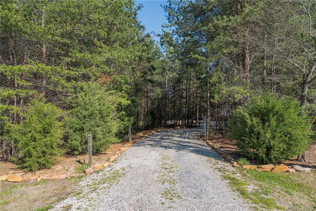 2702 Henry's Knob Road Clover, SC 29710 - Photo 6 of 21 a view of a yard with plants and trees