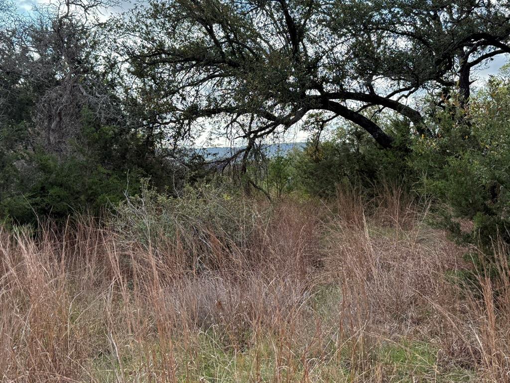 L28 Lipan Apache Run, Unit 28 Blanco, TX 78606 - Photo 1 of 17 Main View