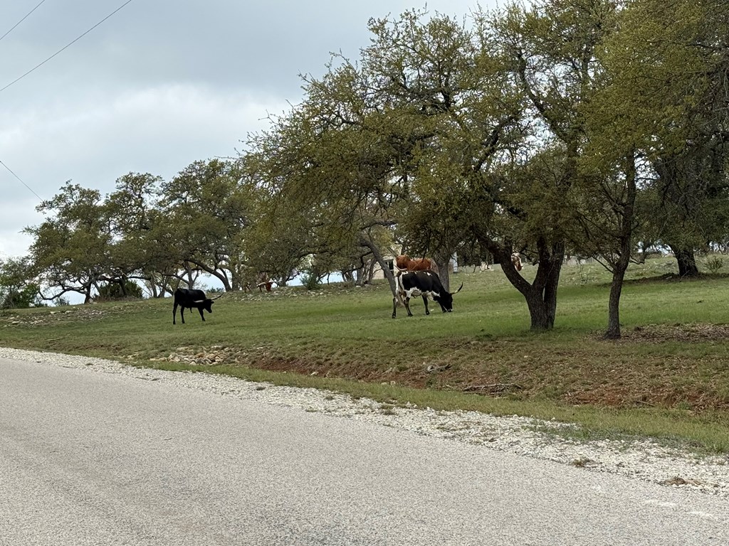 L28 Lipan Apache Run, Unit 28 Blanco, TX 78606 - Photo 12 of 17