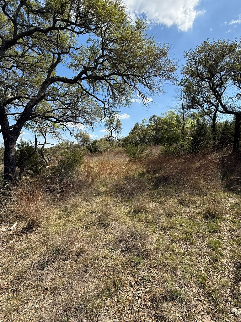 L28 Lipan Apache Run, Unit 28 Blanco, TX 78606 - Photo 13 of 17