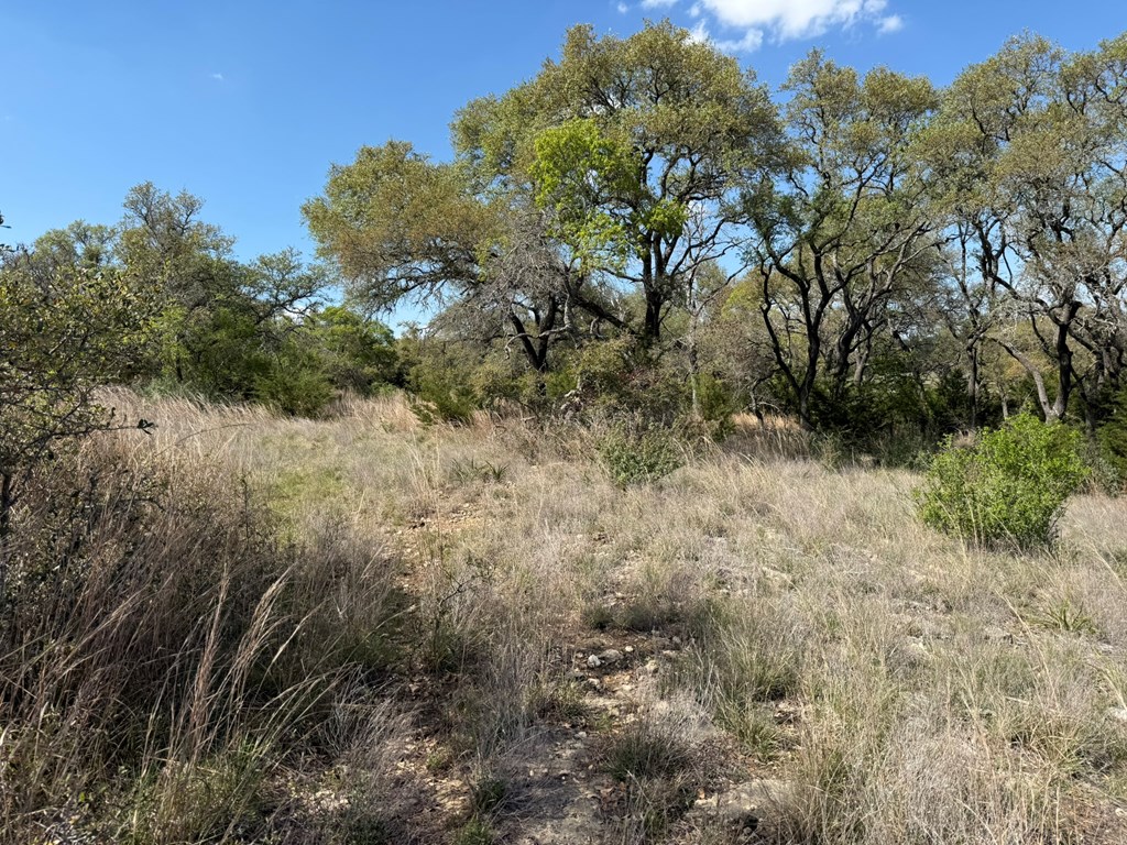 L28 Lipan Apache Run, Unit 28 Blanco, TX 78606 - Photo 14 of 17