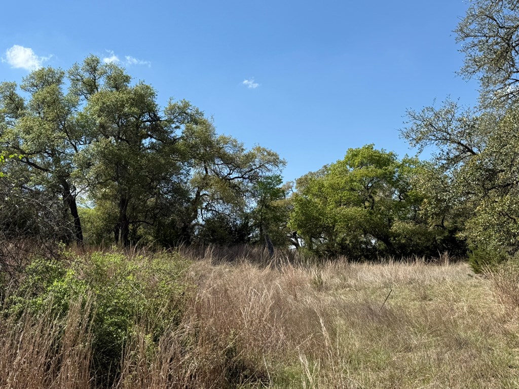 L28 Lipan Apache Run, Unit 28 Blanco, TX 78606 - Photo 15 of 17