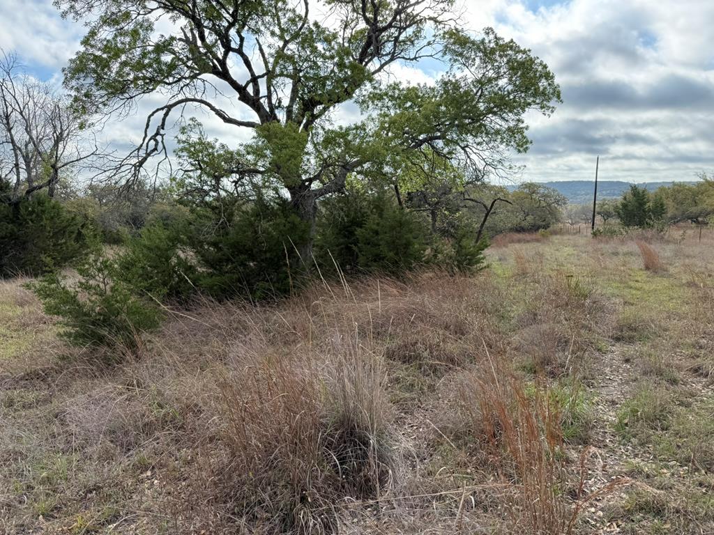 L28 Lipan Apache Run, Unit 28 Blanco, TX 78606 - Photo 4 of 17