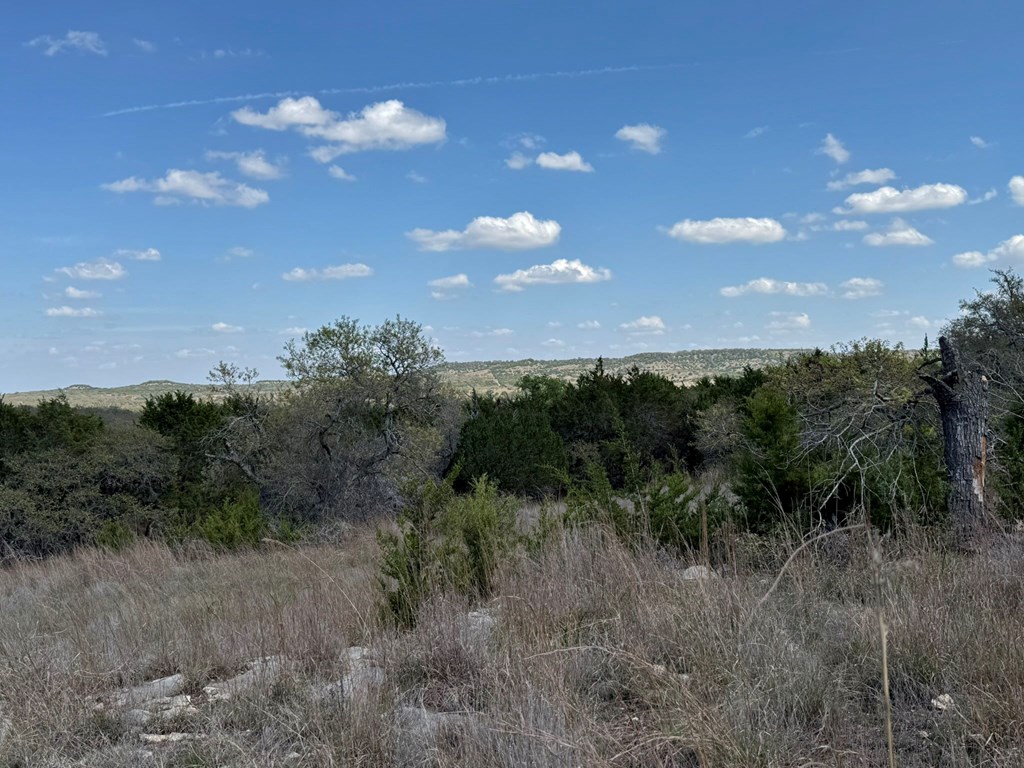 L28 Lipan Apache Run, Unit 28 Blanco, TX 78606 - Photo 5 of 17