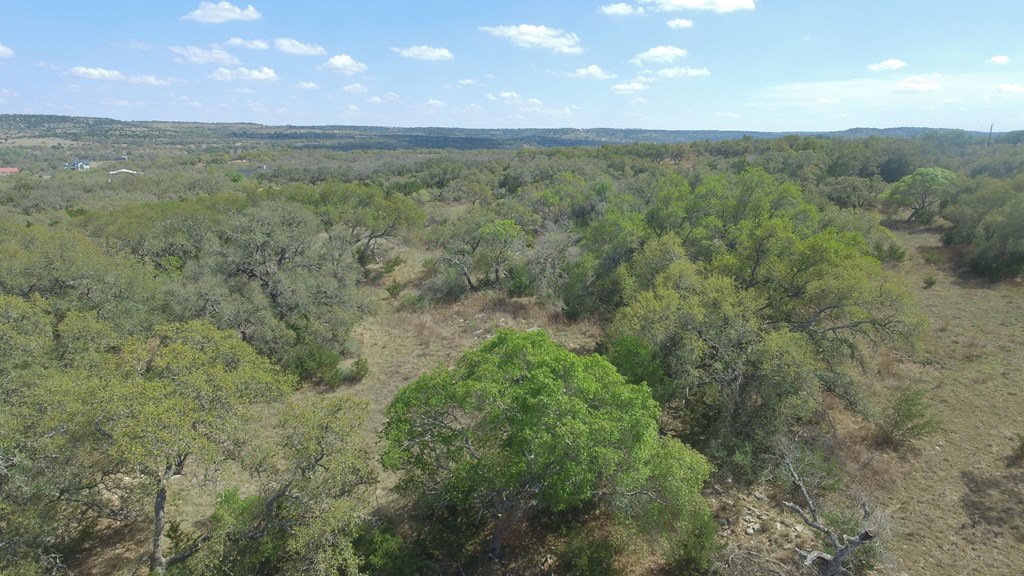 L28 Lipan Apache Run, Unit 28 Blanco, TX 78606 - Photo 6 of 17