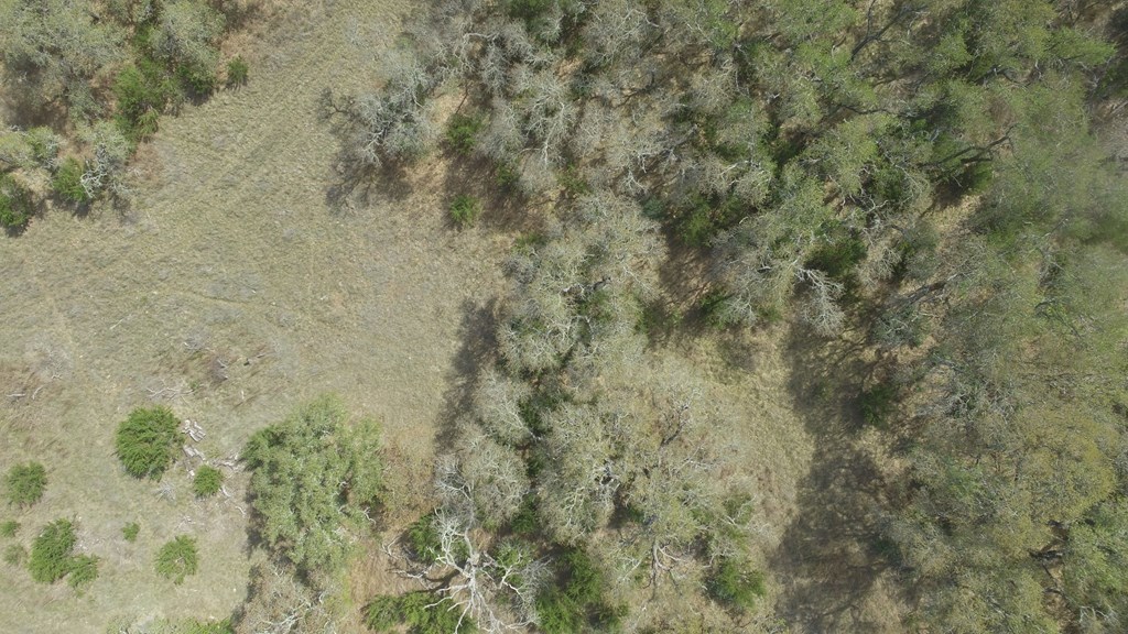 L28 Lipan Apache Run, Unit 28 Blanco, TX 78606 - Photo 7 of 17
