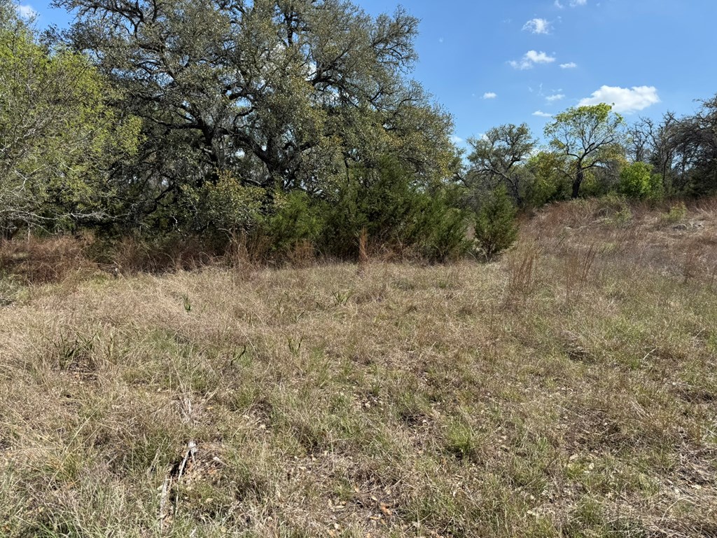 L28 Lipan Apache Run, Unit 28 Blanco, TX 78606 - Photo 8 of 17