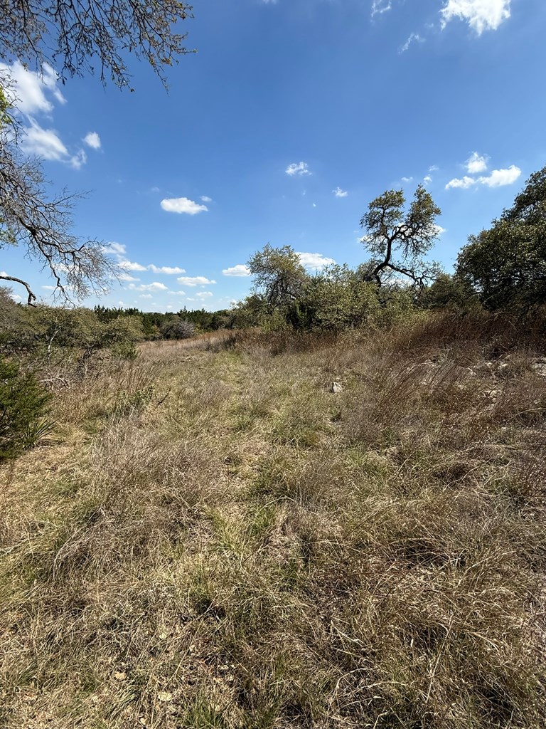 L28 Lipan Apache Run, Unit 28 Blanco, TX 78606 - Photo 9 of 17
