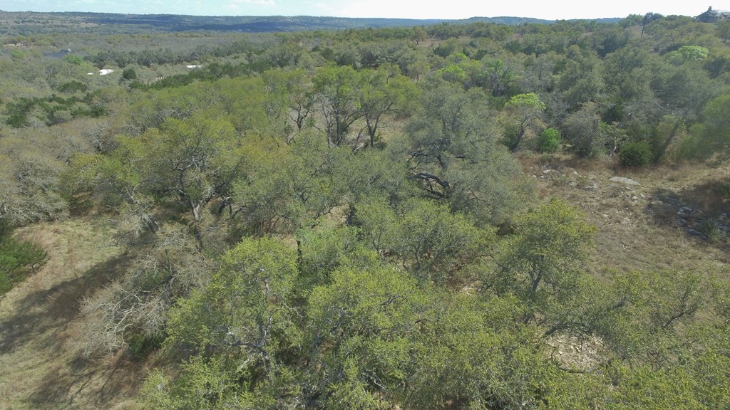 L28 Lipan Apache Run, Unit 28 Blanco, TX 78606 - Photo 10 of 17