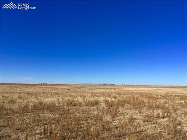 41250 Big Springs Road Rush, CO 80833 - Photo 8 of 16 Gallery Image 8