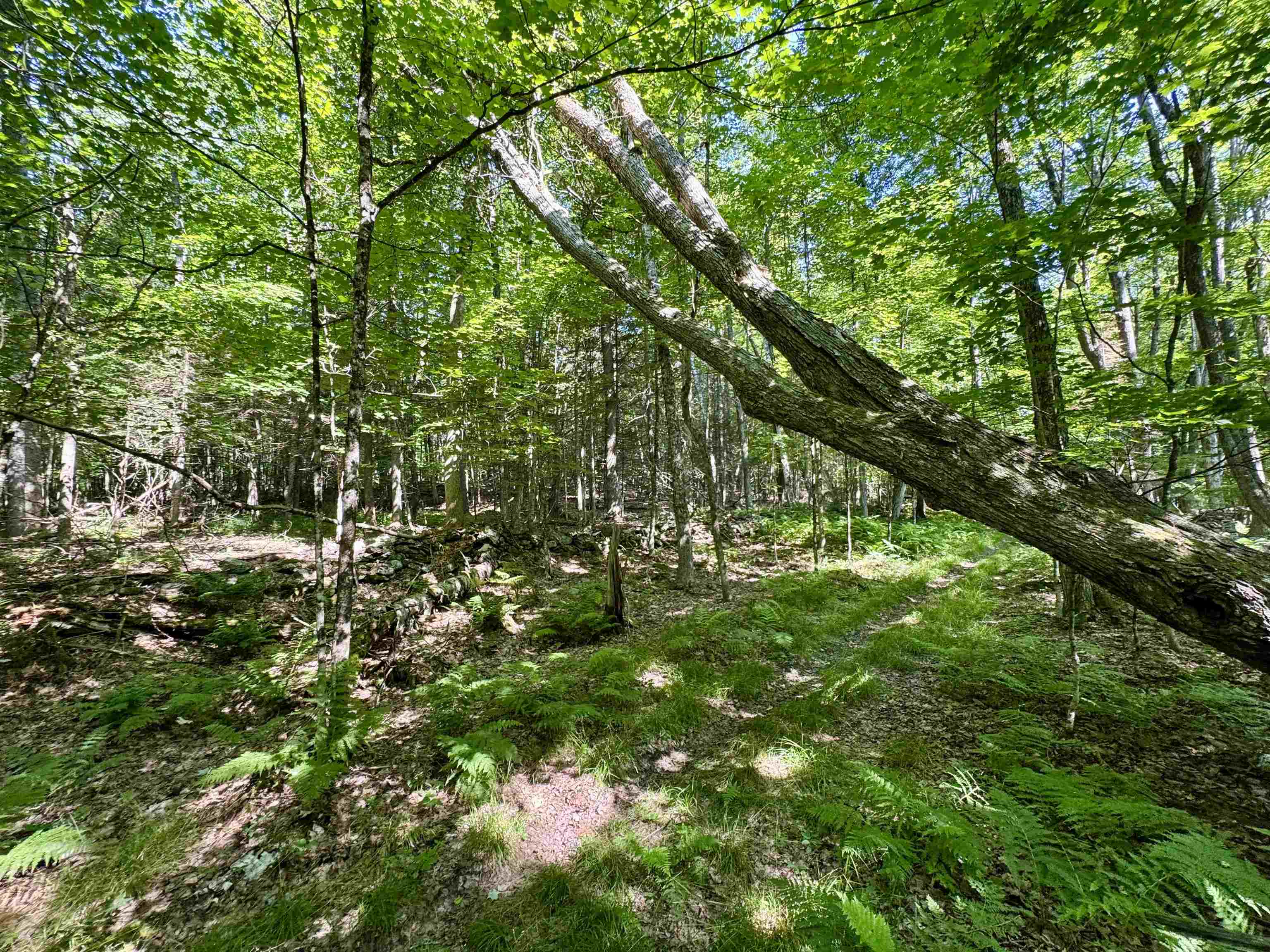 0 Mountain Road Bath, NH 03740 - Photo 4 of 10