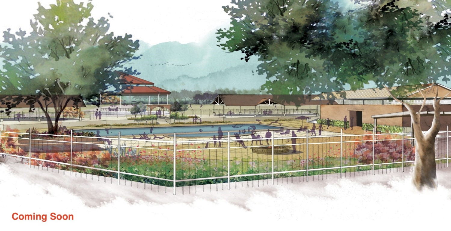 412 Copperleaf Cove Marble Falls, TX 78654 - Photo 31 of 40